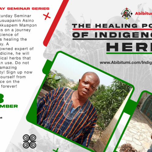 The Healing Power of Indigenous Herbs with Abusuapanin Asinɔ Ɔkata