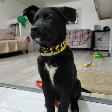 Profile photo of k