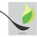 Group logo of Nkwa Dua