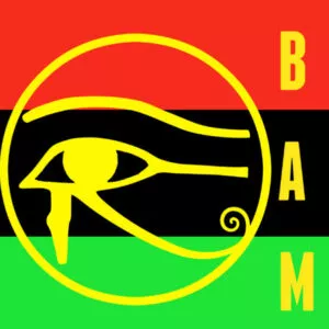 Group logo of Black Awakening Movement